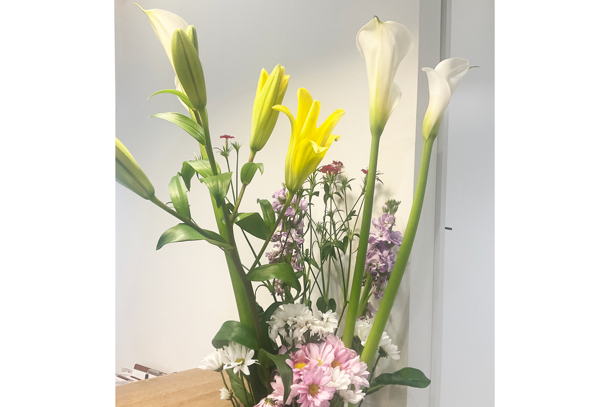 院内のお花