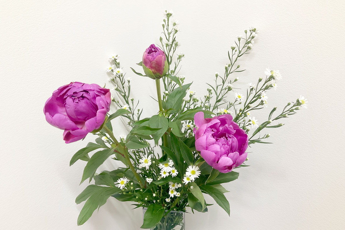 院内のお花