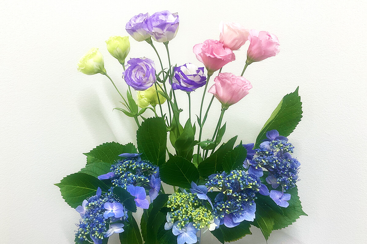 院内のお花