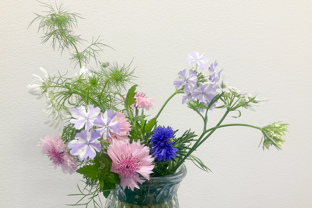 院内のお花